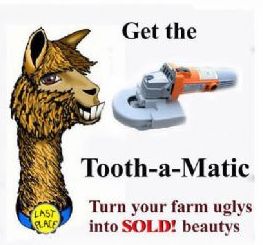 tooth a matic