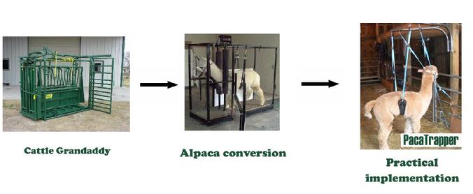 alpaca chute